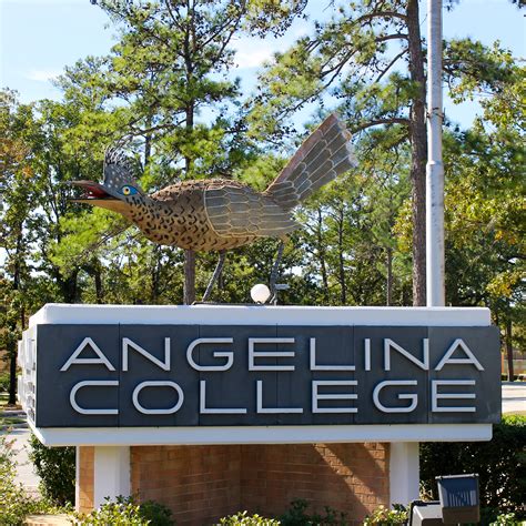 angellaincollege|angelain college facebook.